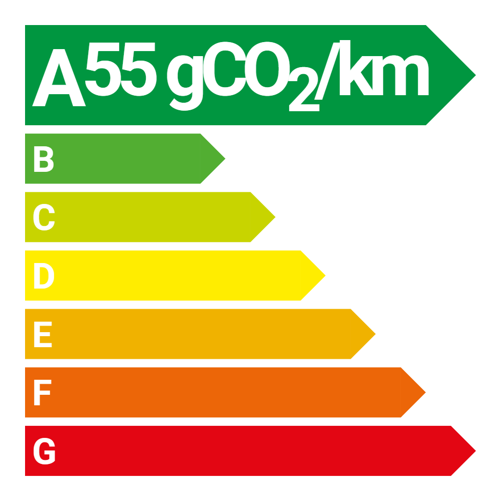 55